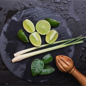 Lemongrass and Zesty Lime Fragrance Oil BBW® Exclusive